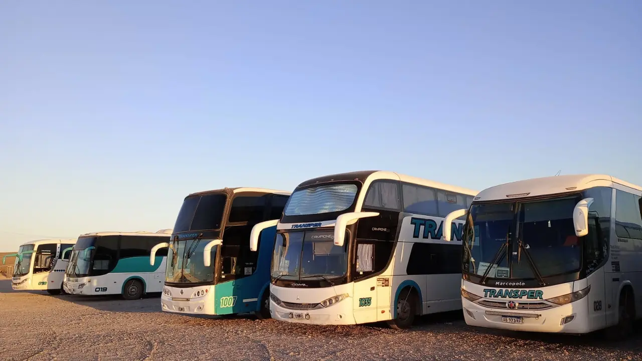 Micros de Transper estacionados en fila al sol